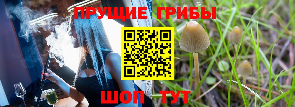 Галлюциногенные грибы MAGIC MUSHROOMS  Вход с VPN  Асино  Псилоцибиновые грибы MAGIC MUSHROOMS 